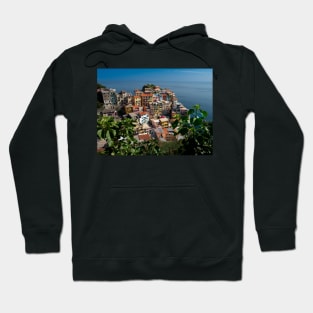 View on the cliff town of Manarola, one of the colorful Cinque Terre on the Italian west coast Hoodie